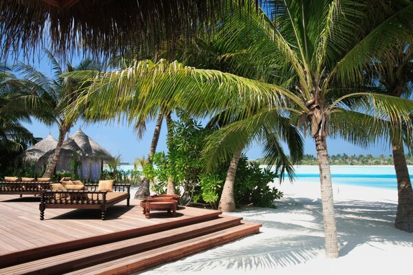 Beautiful tropical beach with white sand and palm trees