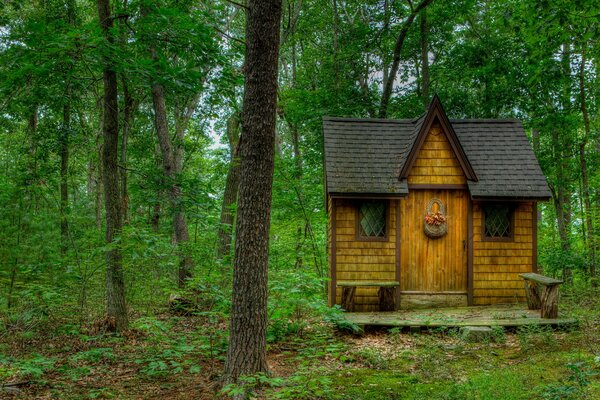 Landschaft. Haus im Wald unter Bäumen