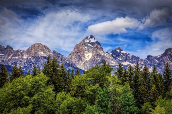 Montagne e alberi sullo skyline del Wyoming