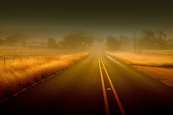 Autumn foggy empty road