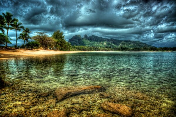 Plage tropicale au milieu de l océan