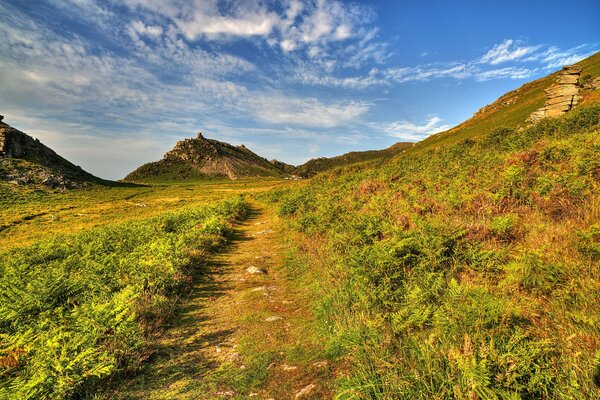 Landscape UK Exmoor