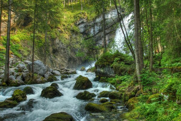 Paesaggio della cascata sul fiume di montagna