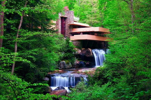 Eco casa tra foresta verde con cascata