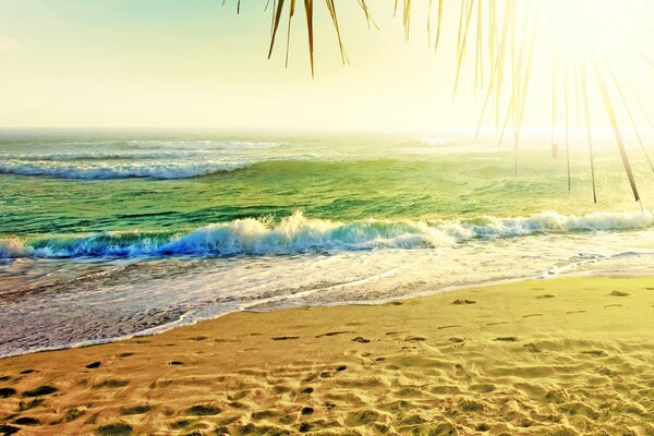 Wellen an einem sonnigen, sandigen Strand