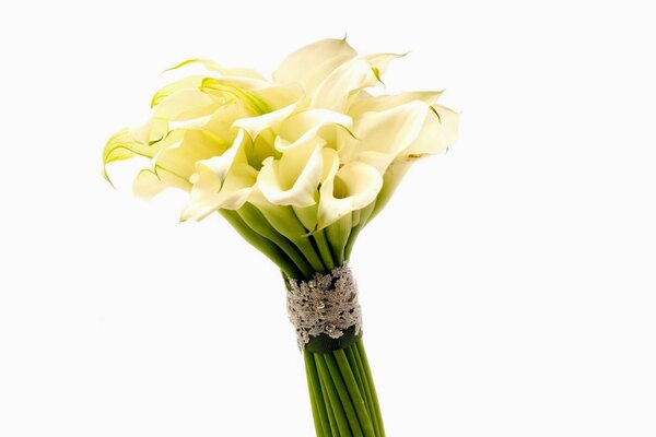 Calla lilies tied with a ribbon in a bouquet