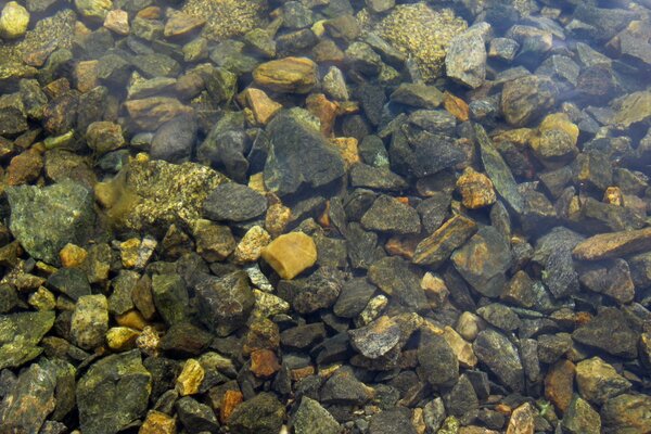 La transparencia del agua transmite la nitidez y la rugosidad de las piedras