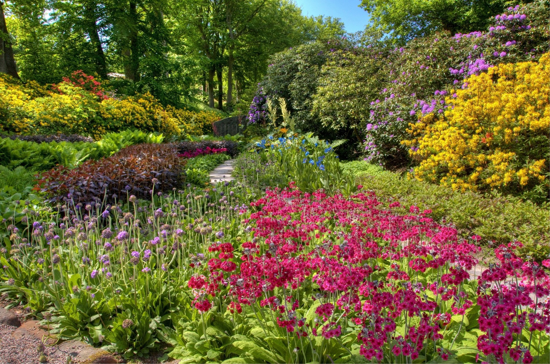 aiuole abbondanza colori fiori assortiti cespugli giardino