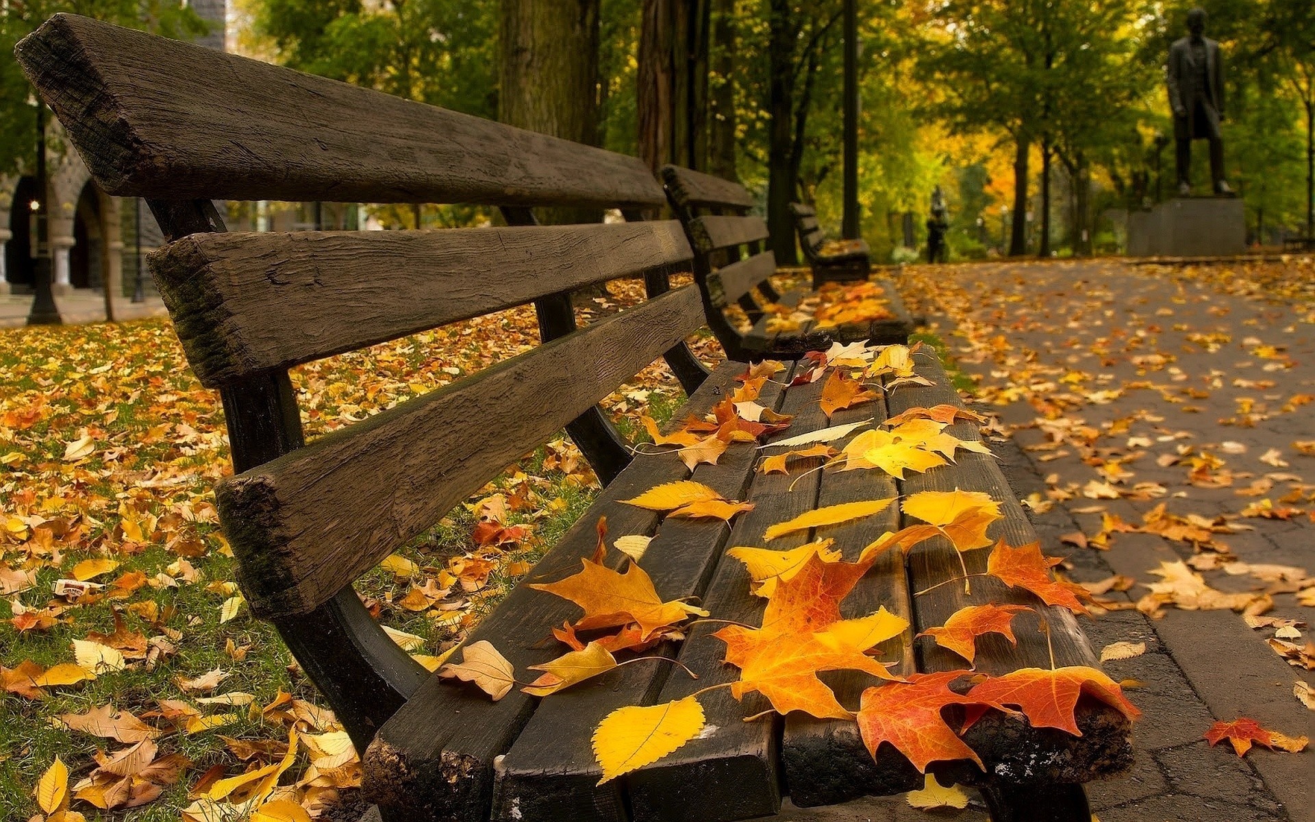 blatt laub denkmal geschäft bäume park platz herbst bänke