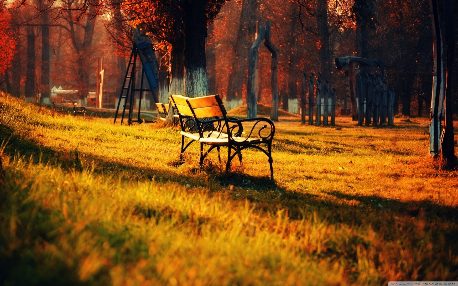 panchine bello parco autunno passeggiata