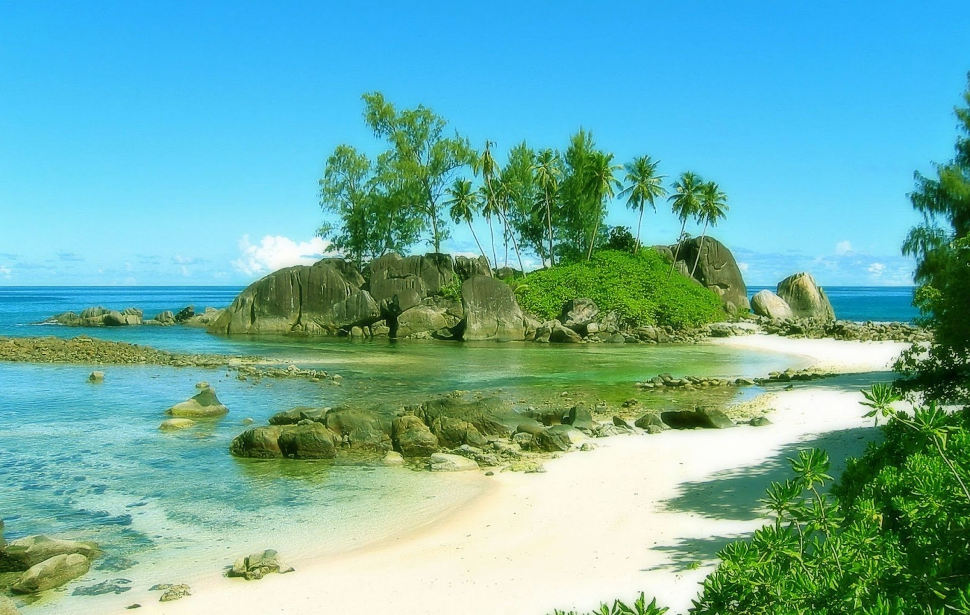 playa palmeras naturaleza costa seychelles seychelles