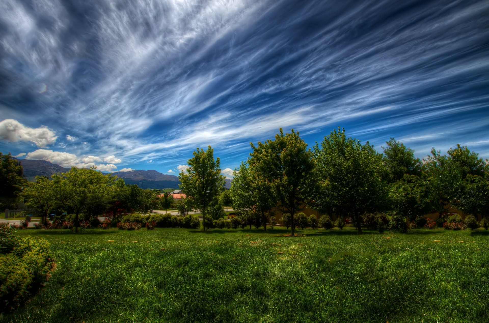 clouds tree grass line sky