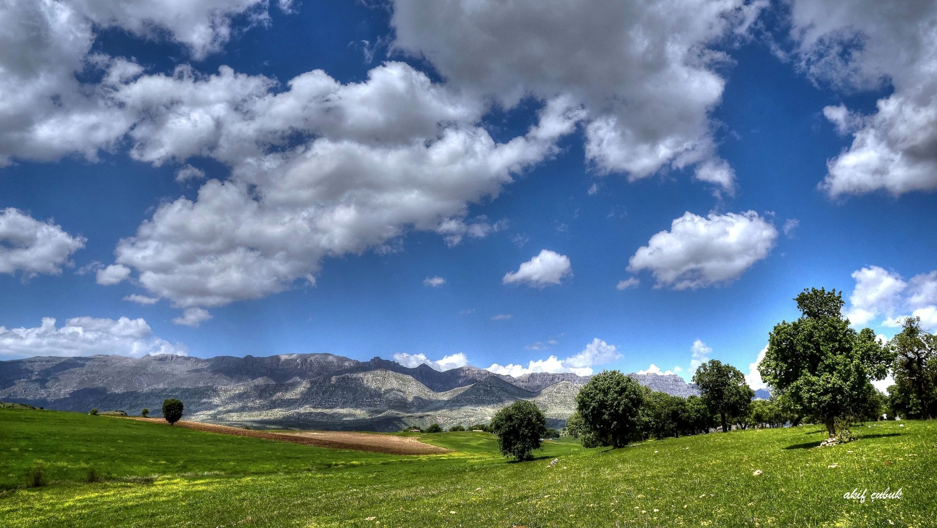 feld berge landschaft bäume