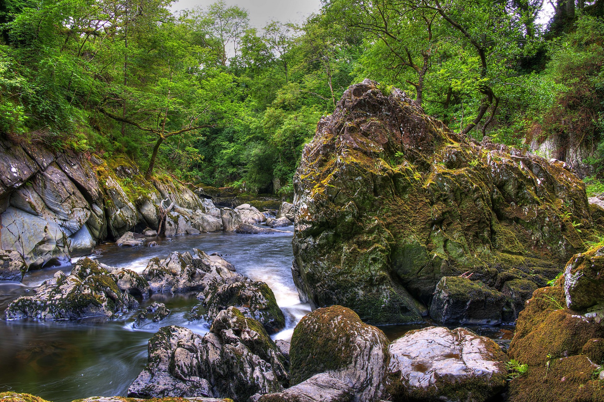 landscape river tree united kingdom snowdonia rock