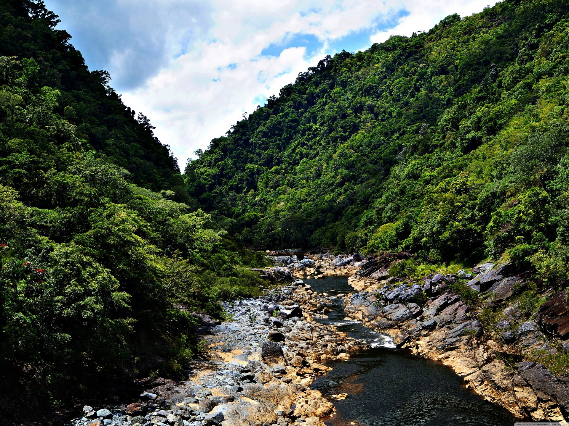 ciel mig-15 montagnes nature ensoleillé rivière forêt océanie paysages jungle été