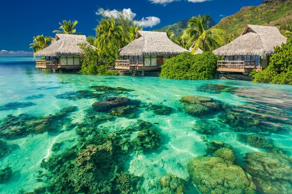 Australischer tropischer Strand im Hintergrund des Ozeans