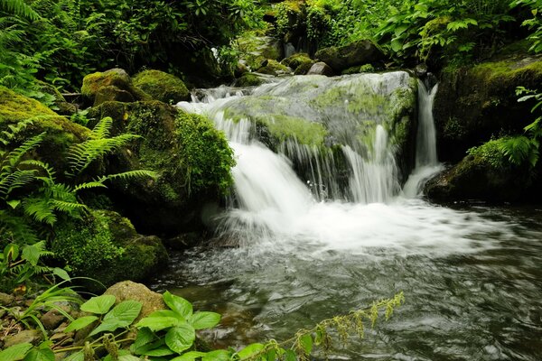 There is a natural beautiful waterfall in the Georgian park