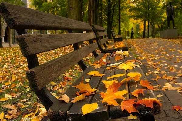 Скамья в парке покрыта осенними листьями