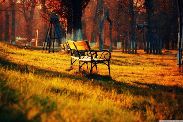 Eine Bank im schönen Herbstpark