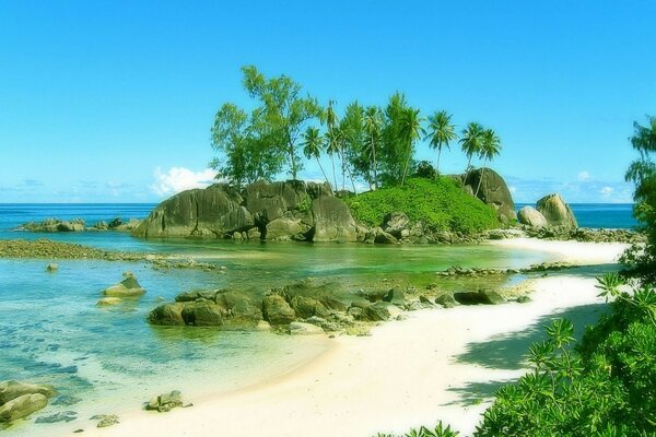 Festa sulla spiaggia delle Seychelles