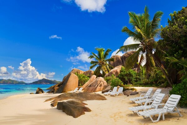 A beach in the tropics with sun loungers and palm trees