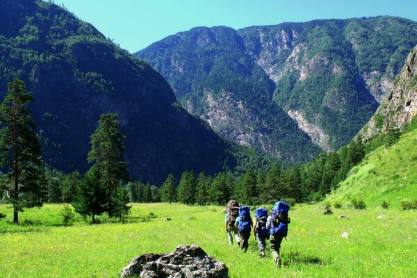 Los turistas caminan hacia las montañas sobre hierba verde