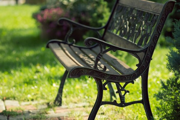 Banc en fer forgé dans le parc pour se détendre