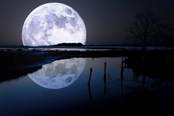 Reflection of the moon on the night lake