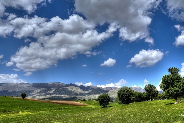 Champ, montagnes et arbres composent un beau paysage