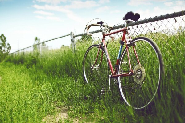 Bike in the grass by the fence