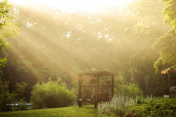 Nature at dawn. The sun s rays illuminate a bench on the lawn