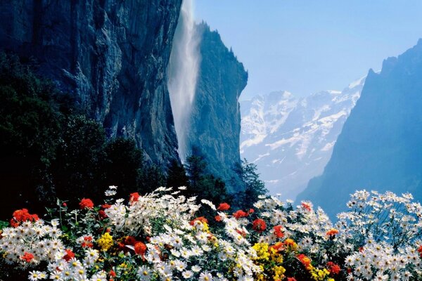 Hermosas y brillantes flores en el fondo de poderosas montañas