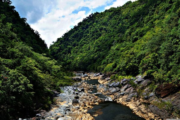 La rivière coule sur des rochers au milieu de la forêt et des montagnes