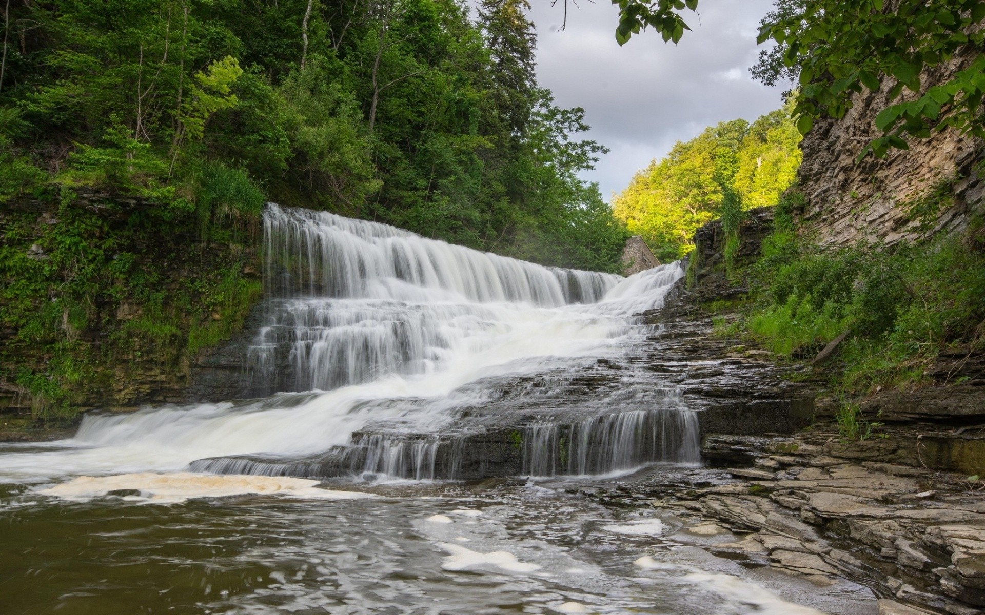 fiume foresta cascata cascata