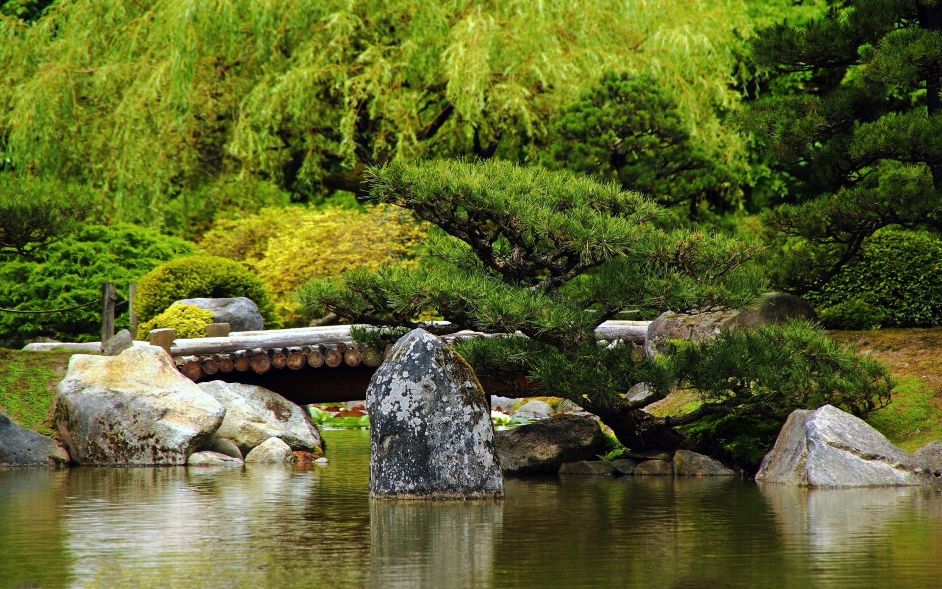 steine grün teich sommer baumstamm oberfläche brücke bäume