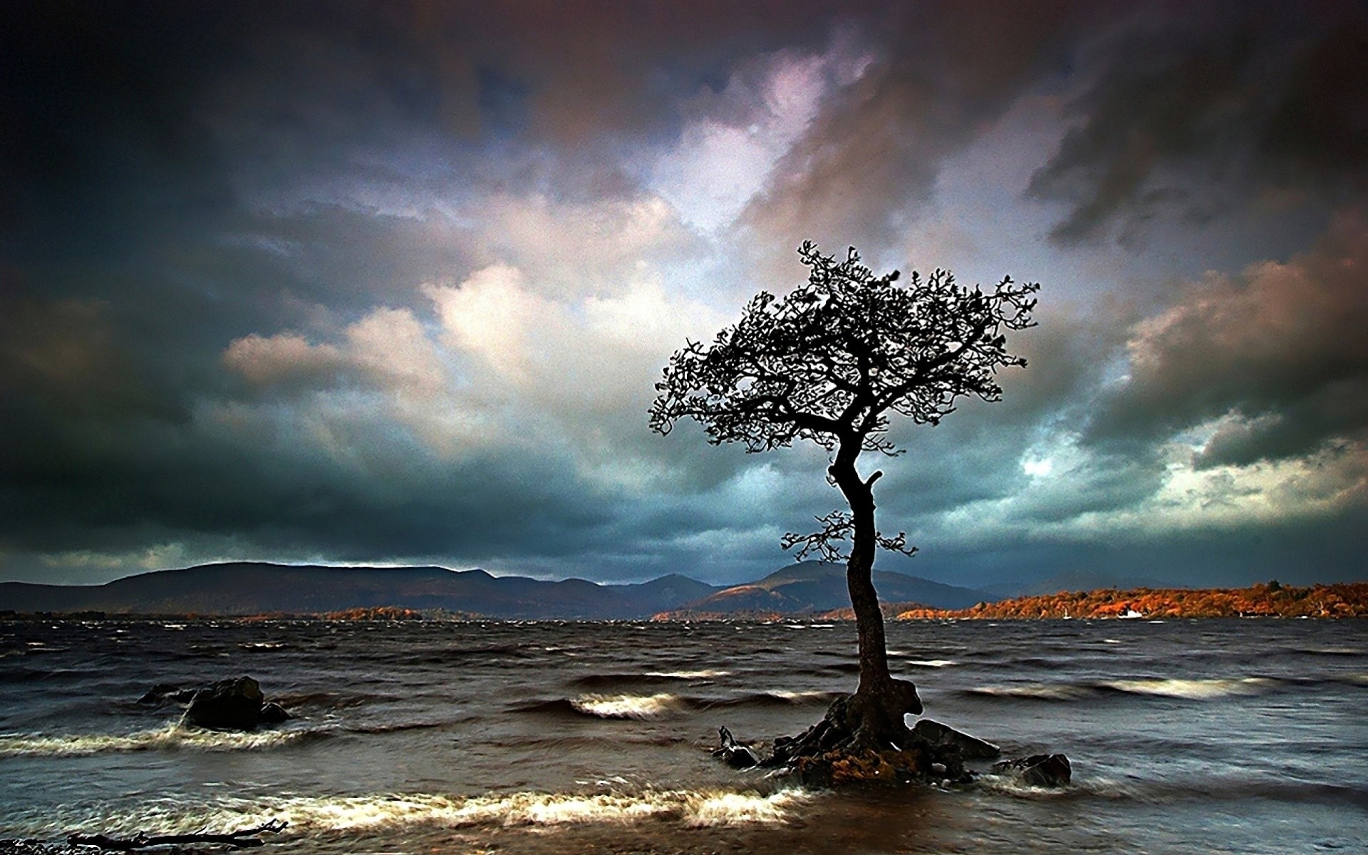 tempesta nuvole mare albero solitario