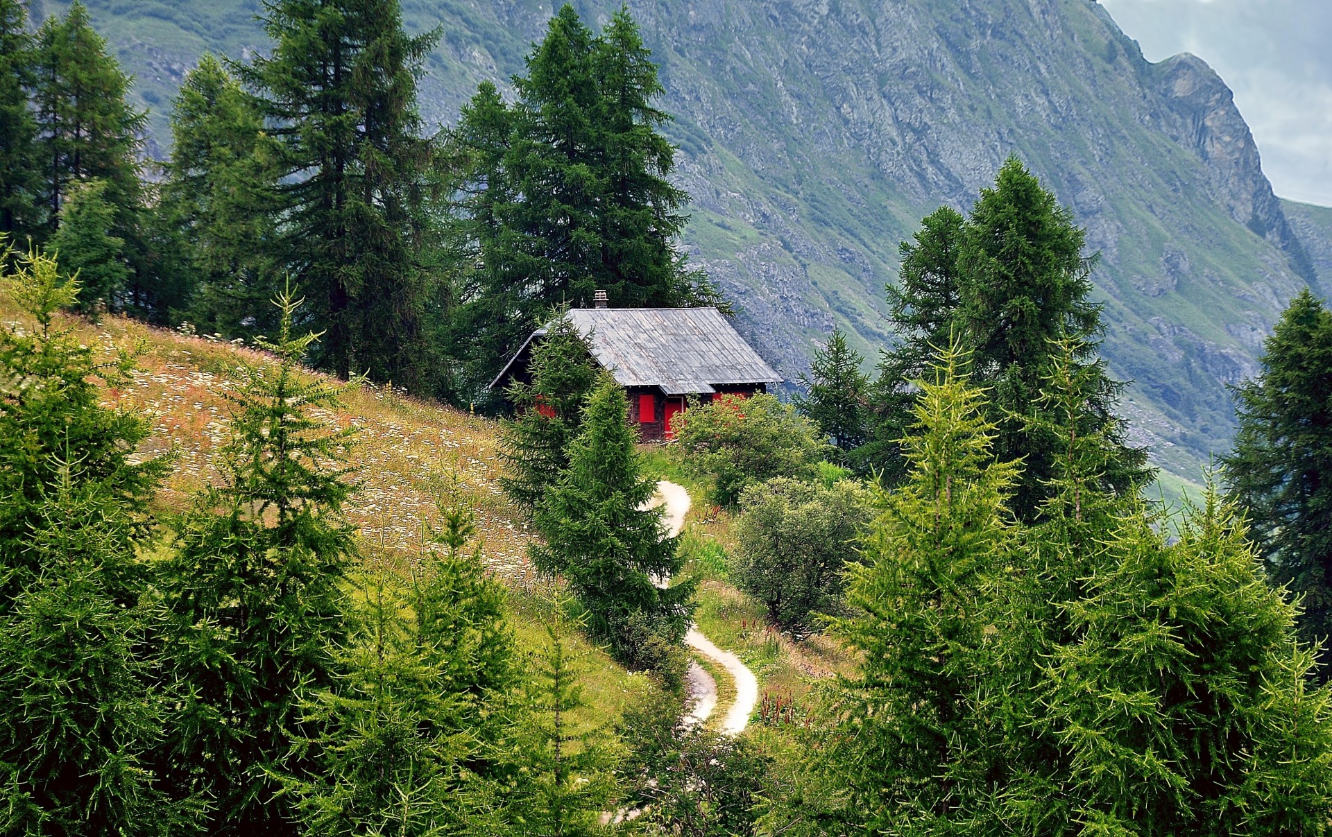 paesaggio alpi strada casa montagne alberi