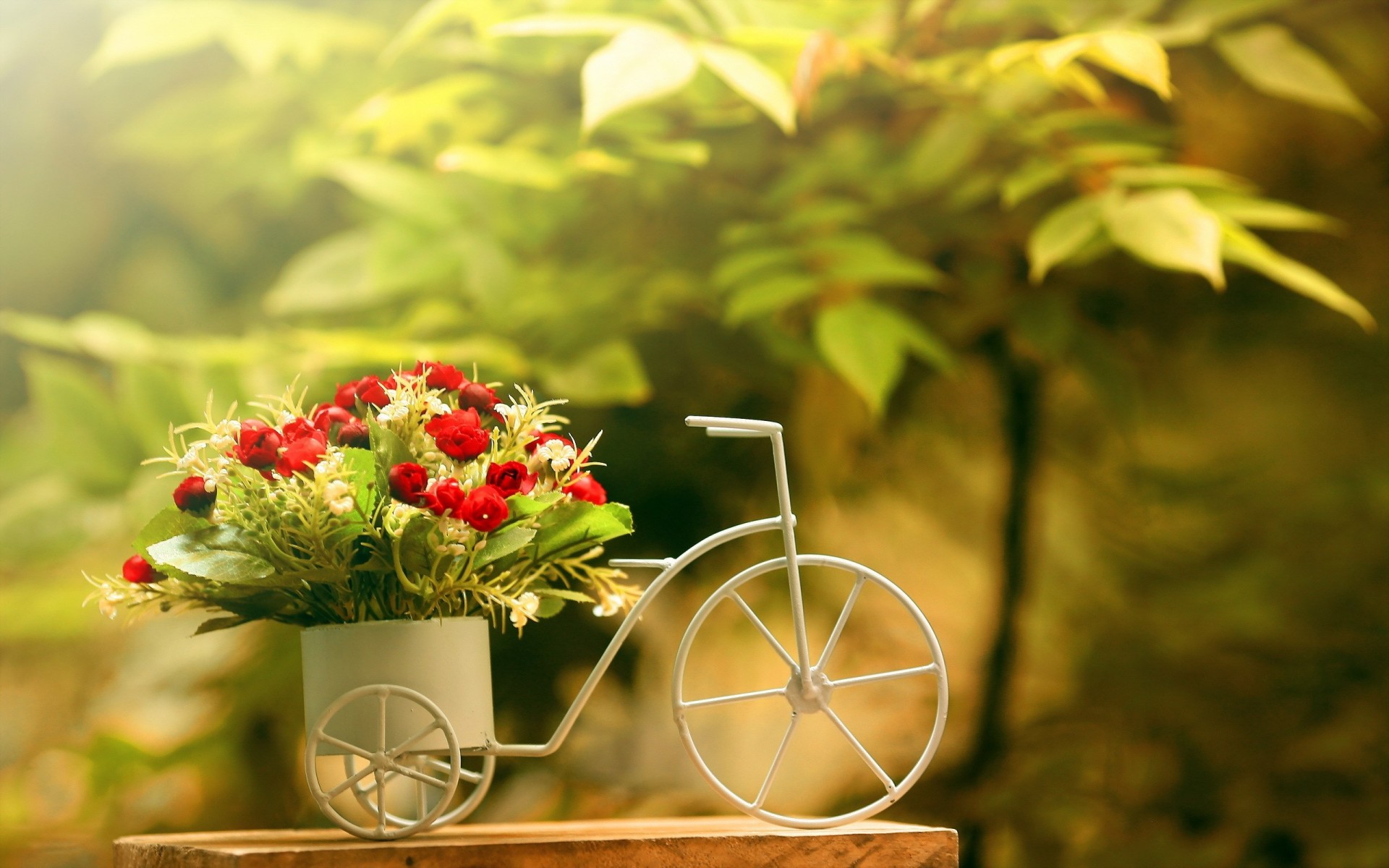 hintergrund blumen rosen fahrrad