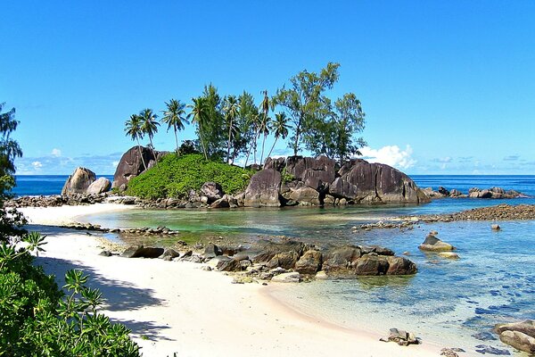 Plage ensoleillée aux Seychelles