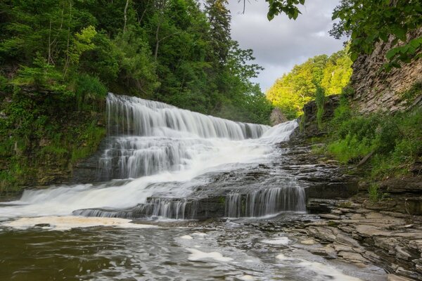 Forest waterfall in the morning forest