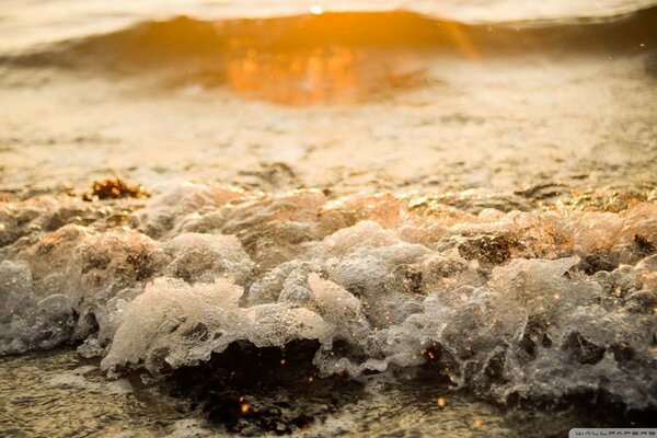 Surf waves on the seashore