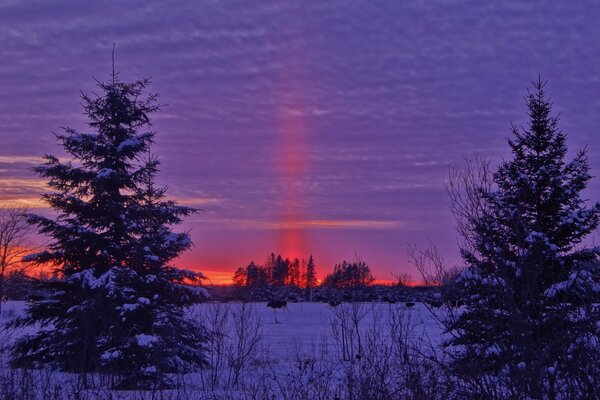 Tramonto rosso su un campo innevato