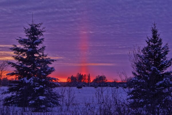 Czerwony zachód słońca na zaśnieżonym polu