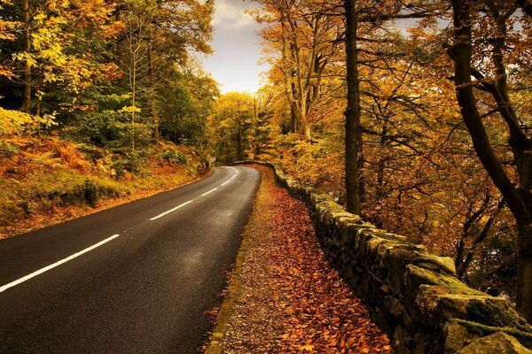 Keine breite Autobahn im Herbstwald