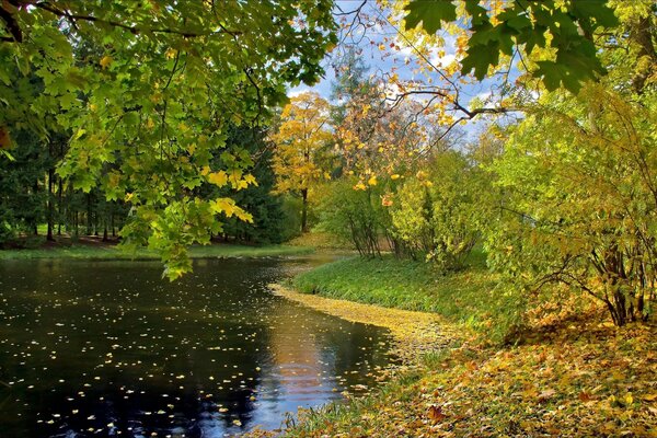 Озеро с осенними листьями