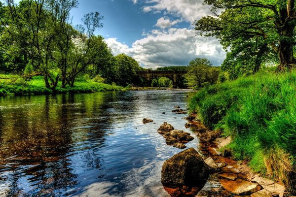 The river is framed by lush green banks