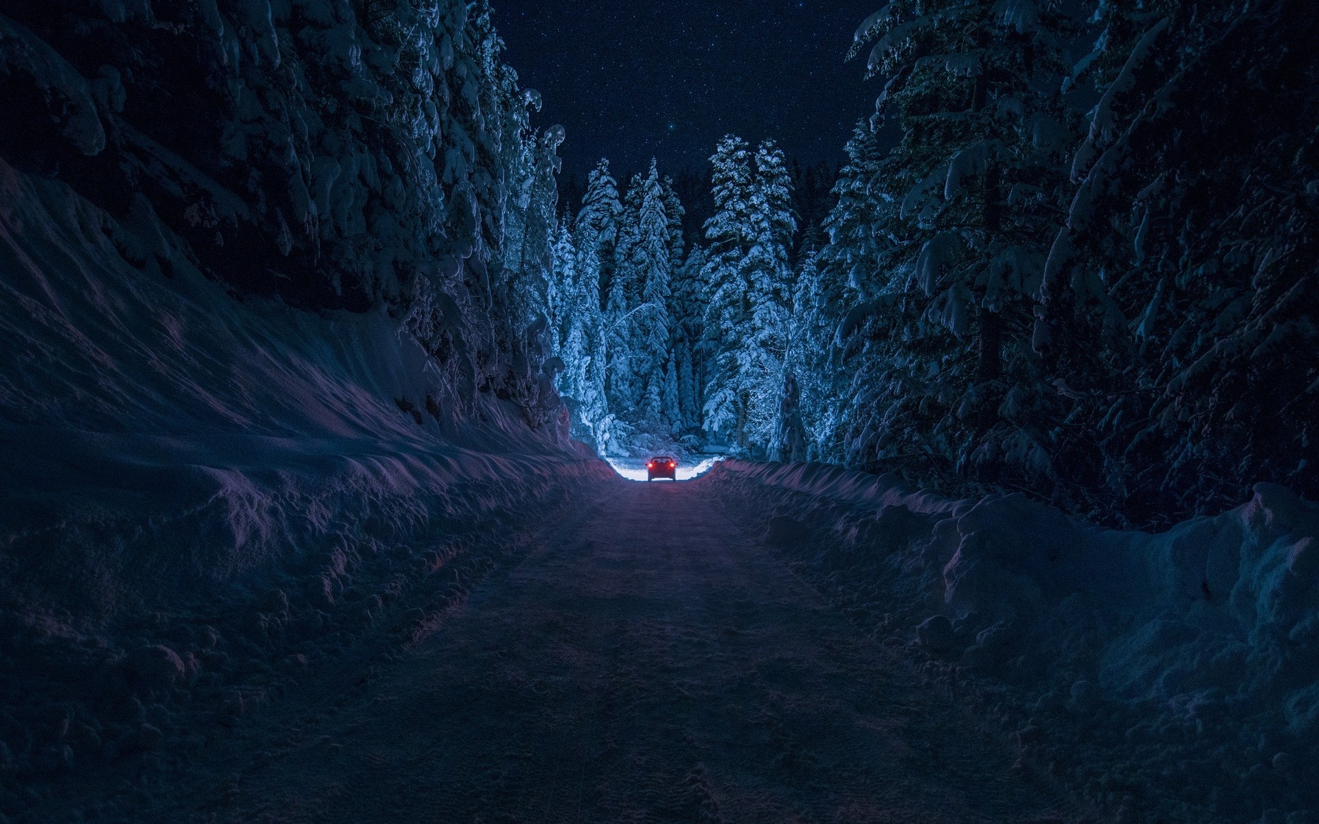 nuit forêt route neige bulgarie küstendil hiver