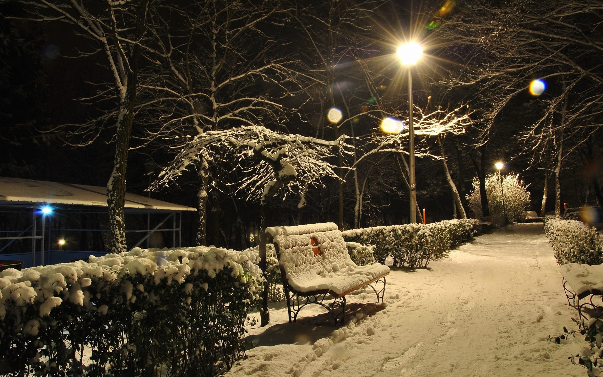 notte panchine luci neve vicolo cespugli inverno