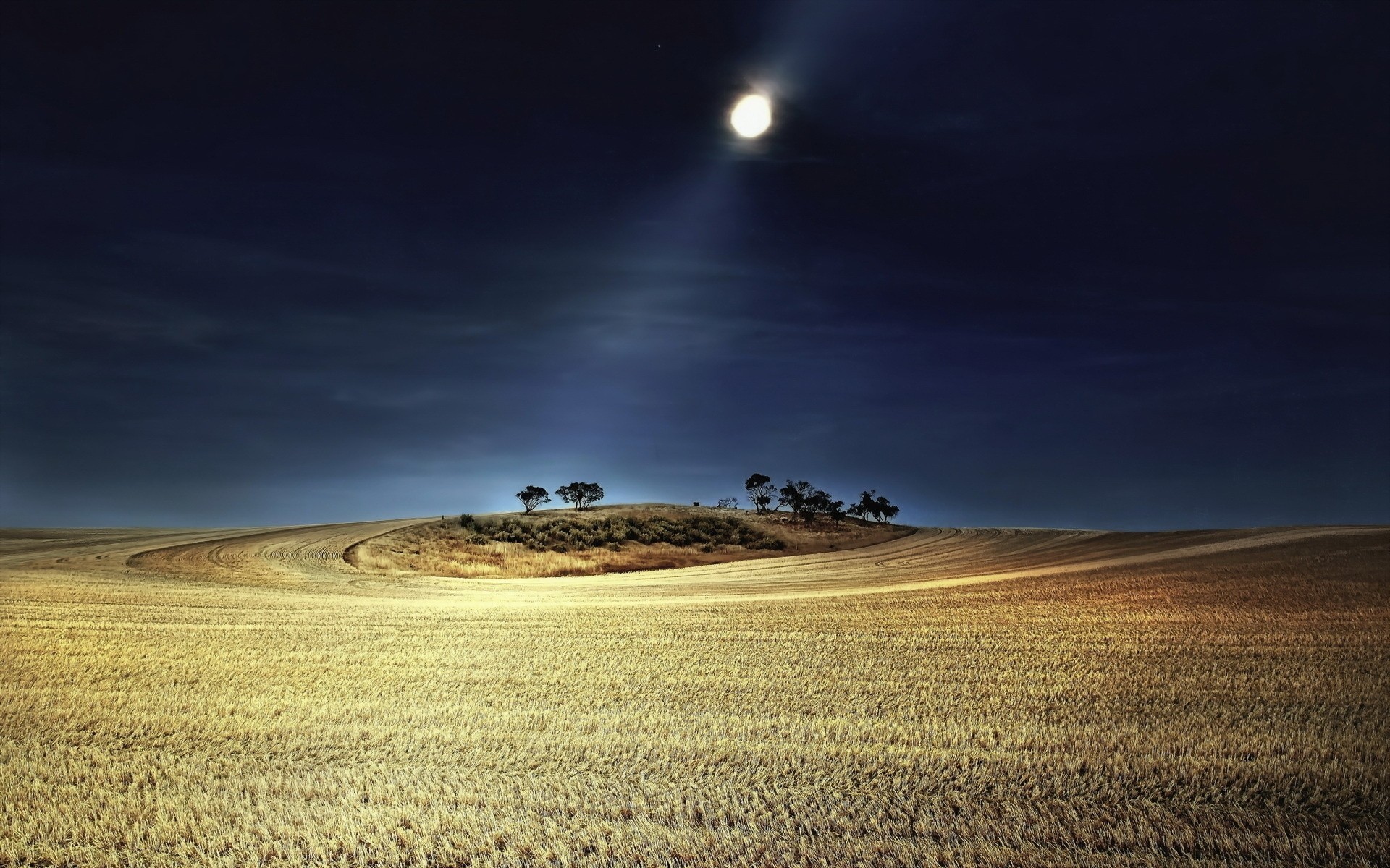 hill night light moon the field tree