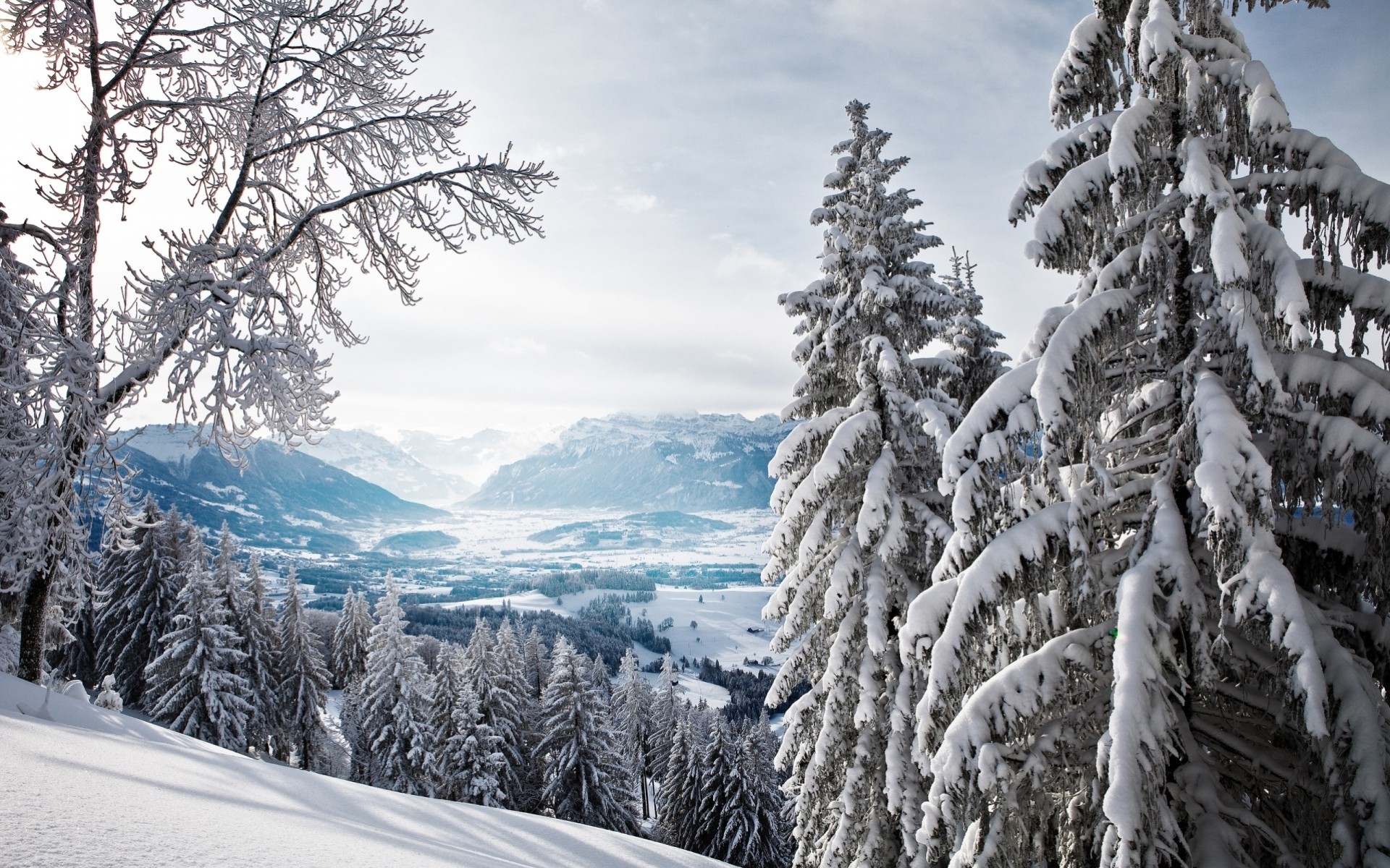 mountain landscape winter tree horizon